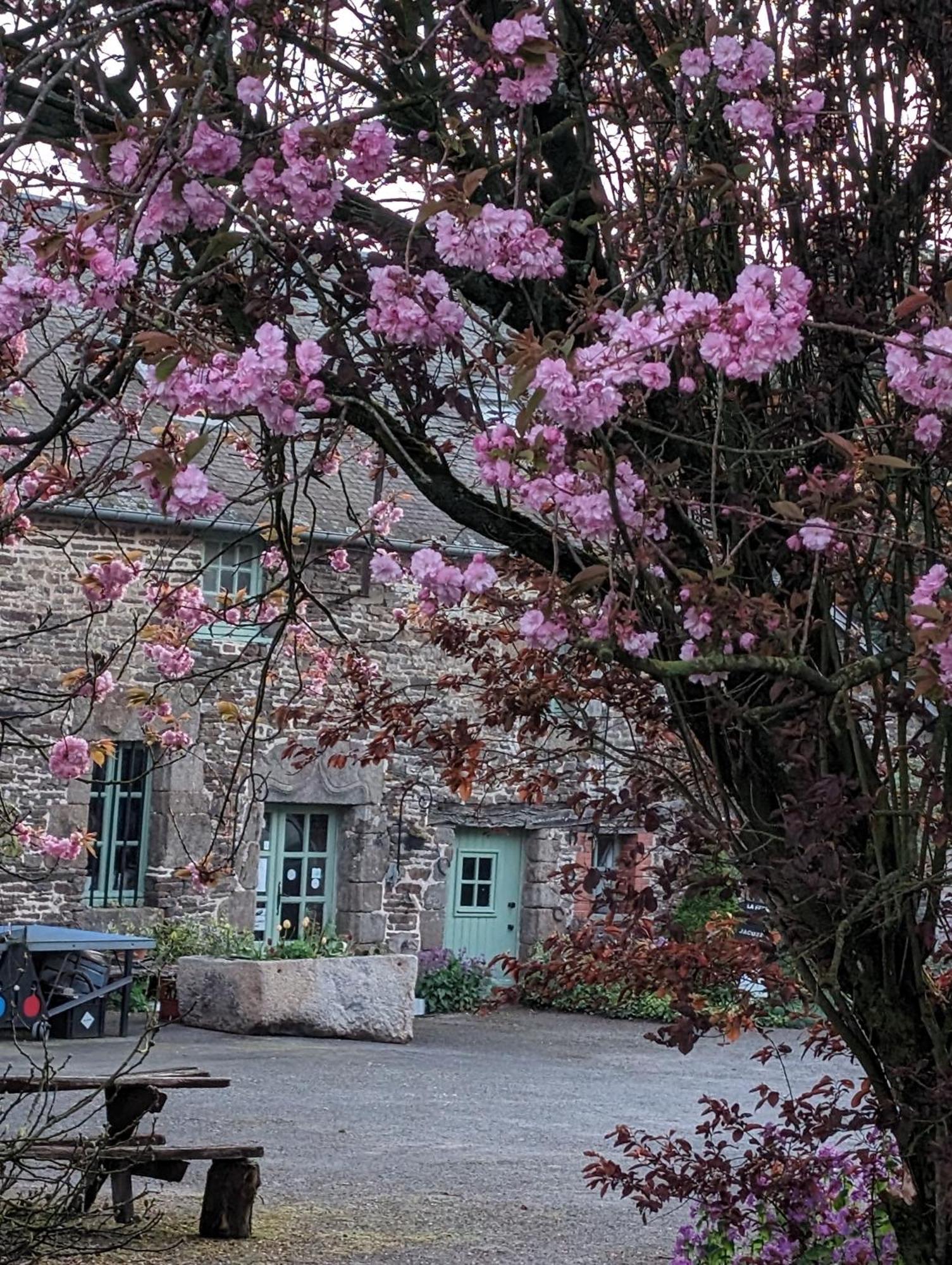Ferme De La Gortiere Bed and Breakfast Le Teilleul Buitenkant foto