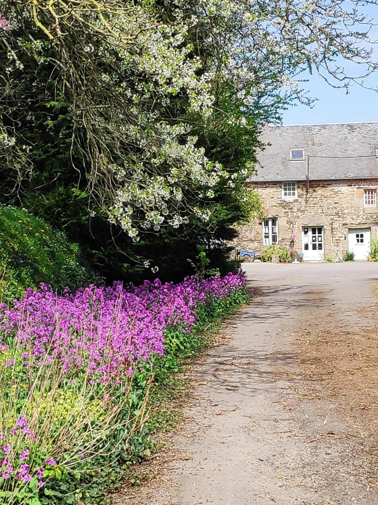 Ferme De La Gortiere Bed and Breakfast Le Teilleul Buitenkant foto